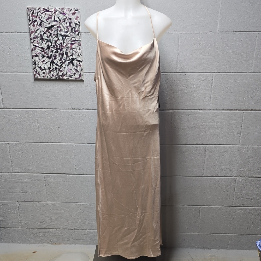 Express Satin Dress in Champagne